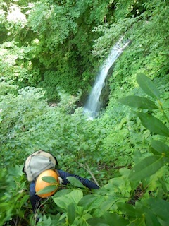 c0359615_23114149.jpg