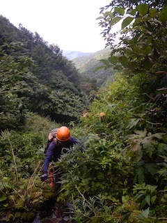 c0359615_23123020.jpg