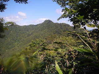 c0359615_23125580.jpg