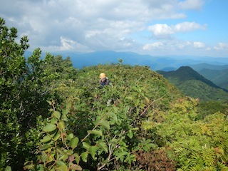 c0359615_23130636.jpg