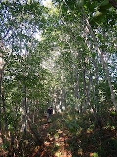c0359615_23132535.jpg