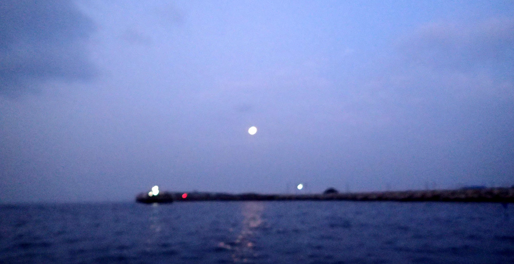 d0171823_18473528.jpg