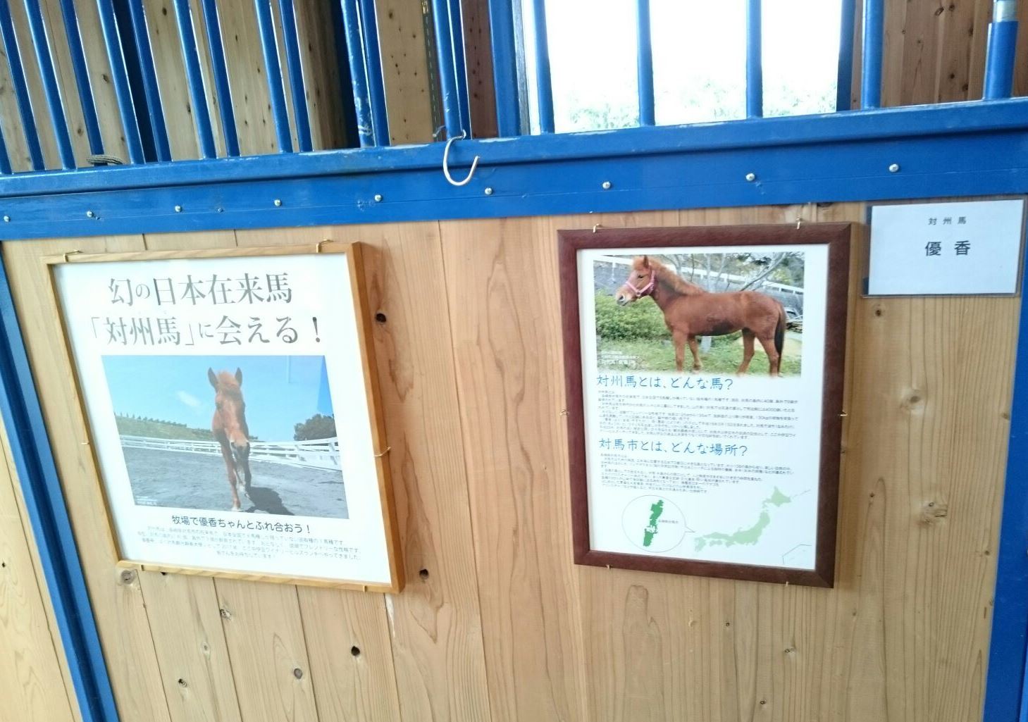 b0202125_16335835.jpg