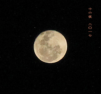 d0042827_17400845.jpg