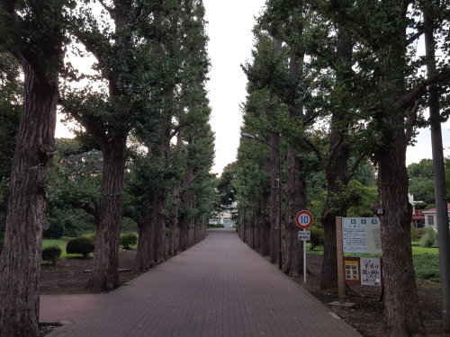 e0016828_08290383.jpg