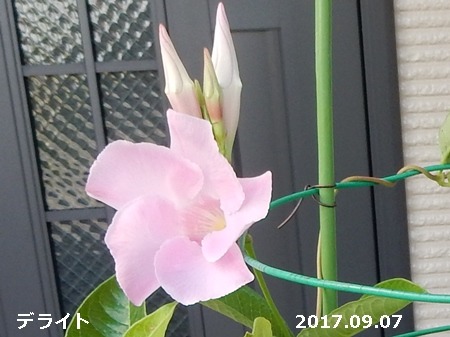 e0033229_18182237.jpg