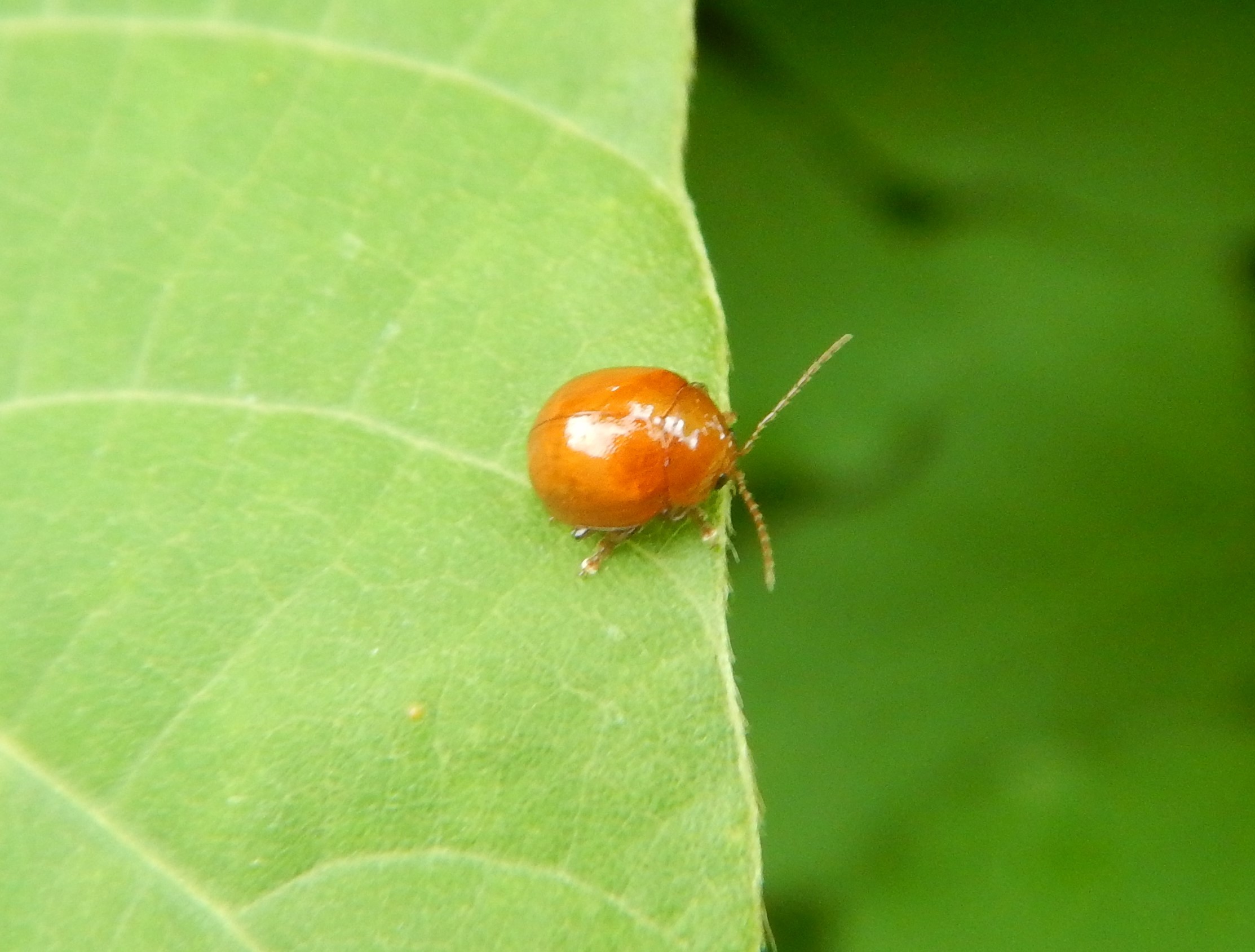 f0118332_22051219.jpg