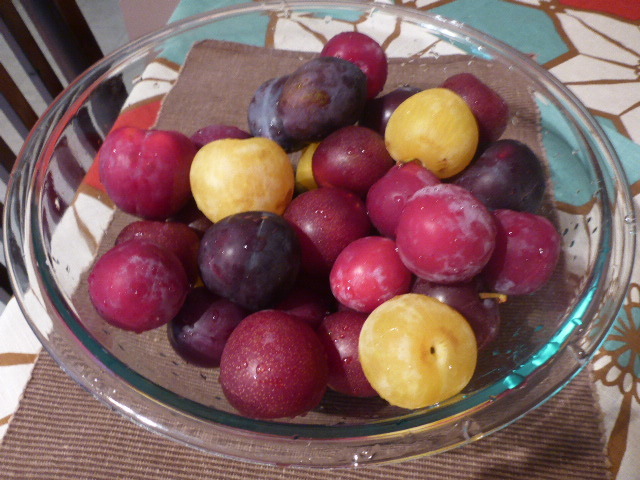 c0077835_02343553.jpg
