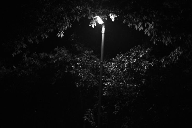 e0342136_16115518.jpg