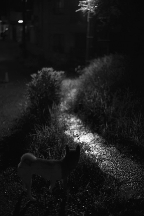 e0342136_16120695.jpg