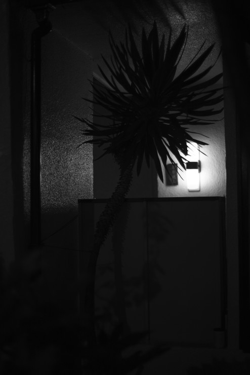 e0342136_16121243.jpg