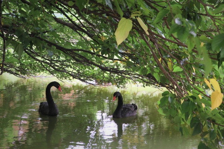e0300042_20192534.jpg