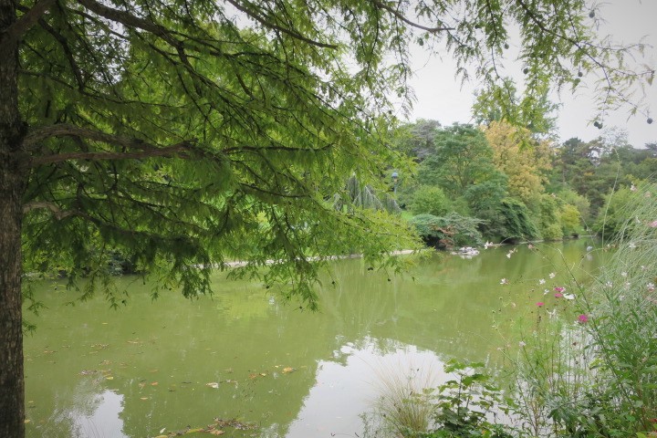 e0300042_20193506.jpg