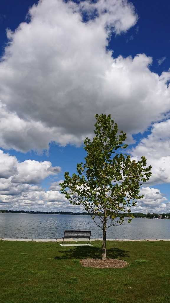 a0074543_02570410.jpg