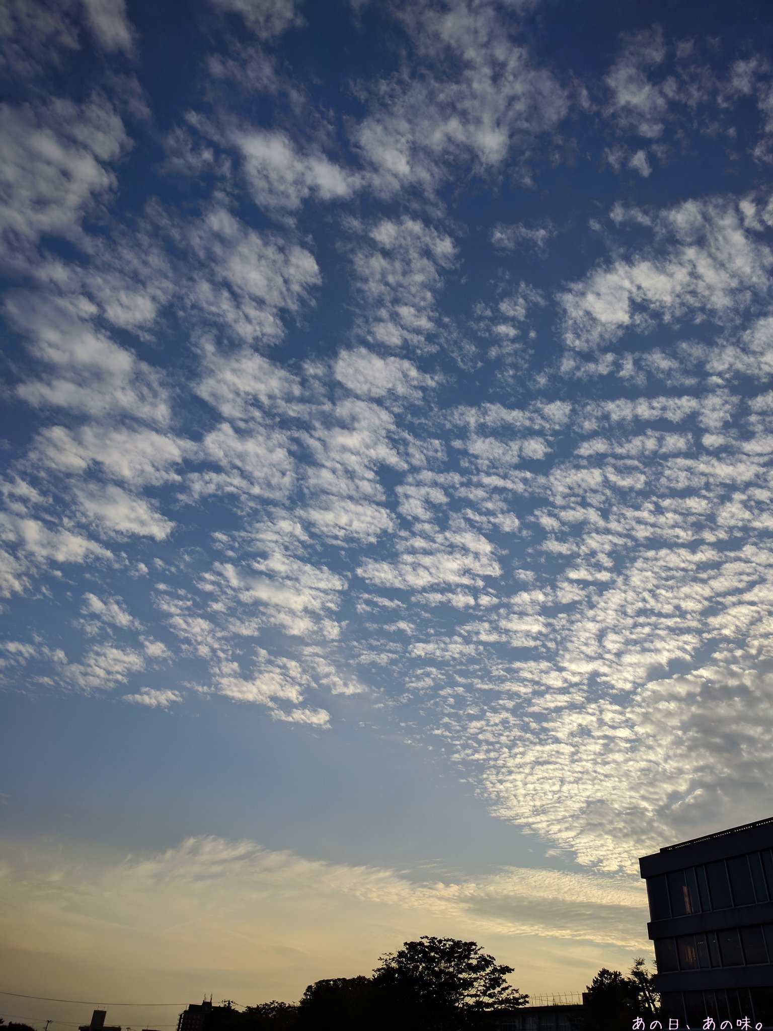 a0305046_10283931.jpg