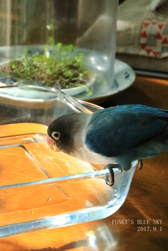 c0145250_10174118.jpg