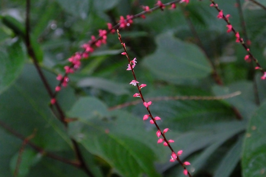 b0236251_11021204.jpg