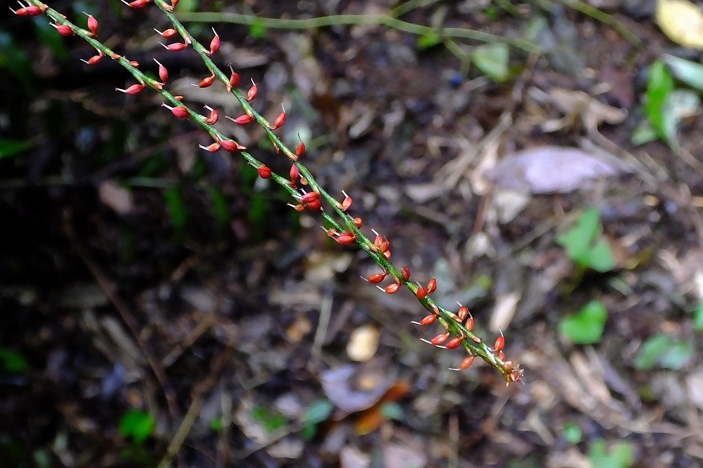 b0236251_11023367.jpg