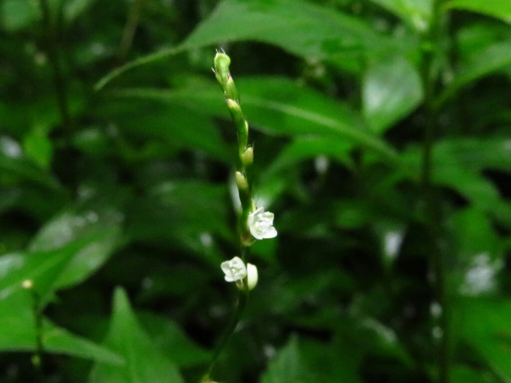 a0018655_14594860.jpg