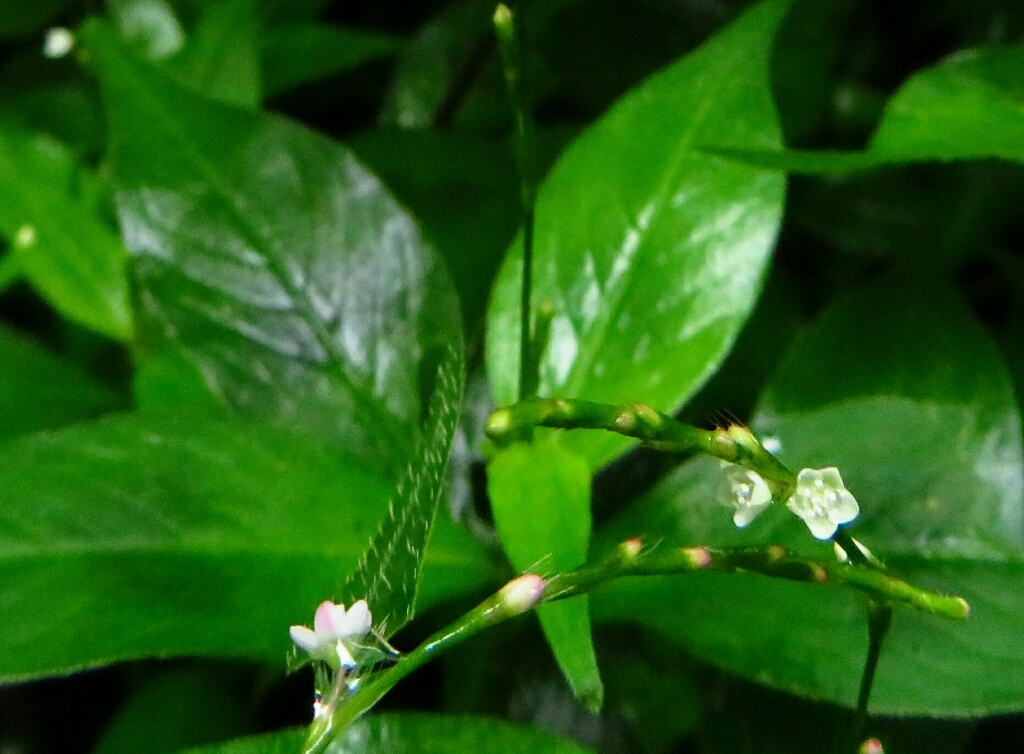 a0018655_14595786.jpg