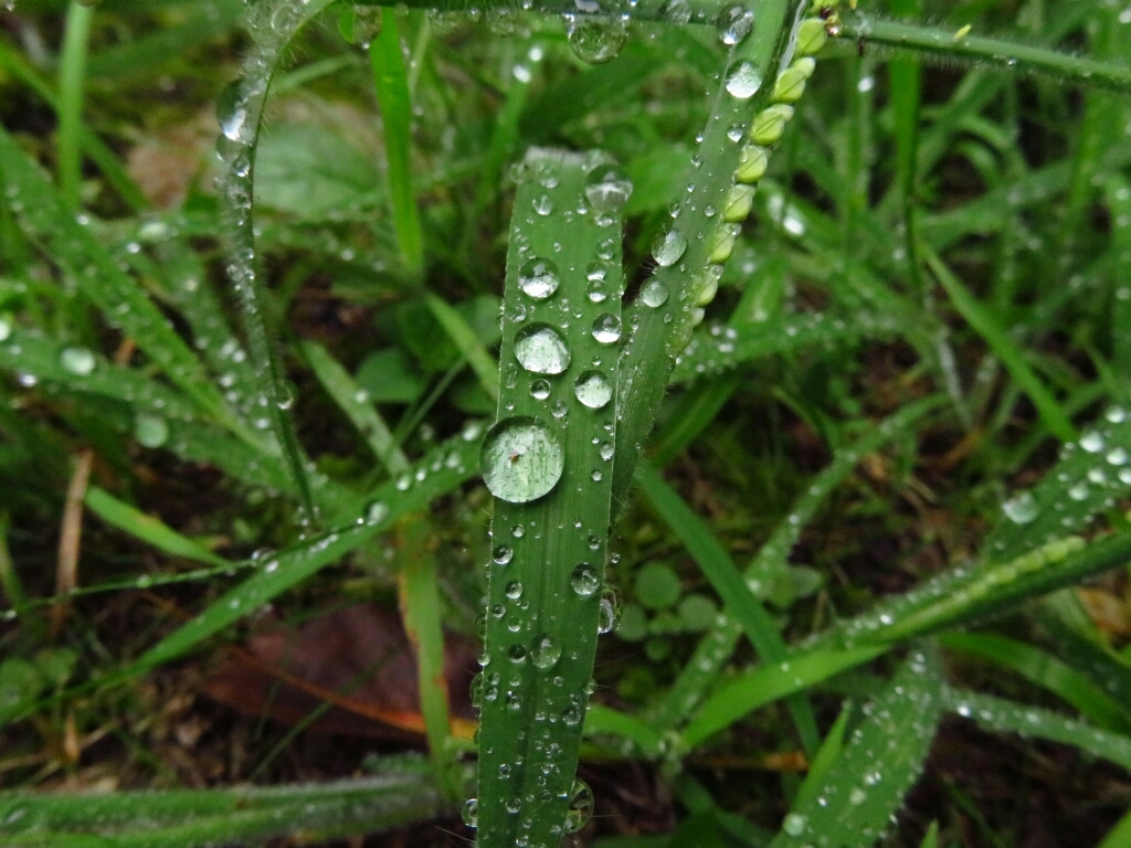 a0018655_15001088.jpg