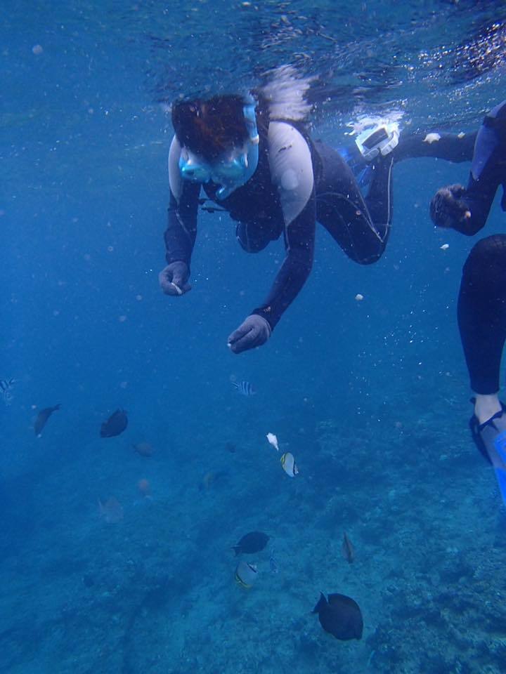 d0090258_16084657.jpg