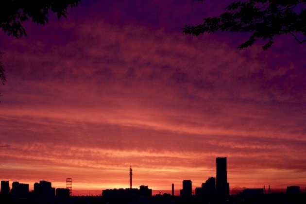 a0248459_14172894.jpg