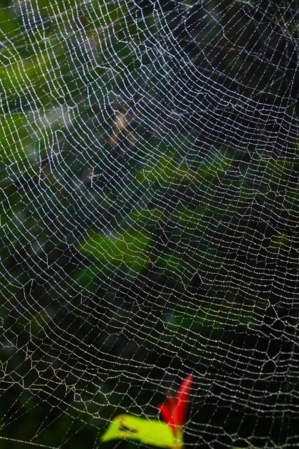 a0248459_14194345.jpg