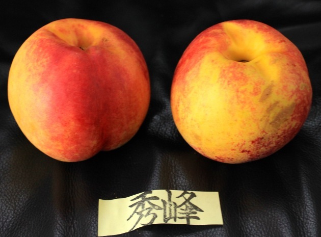 a0248459_14311828.jpg