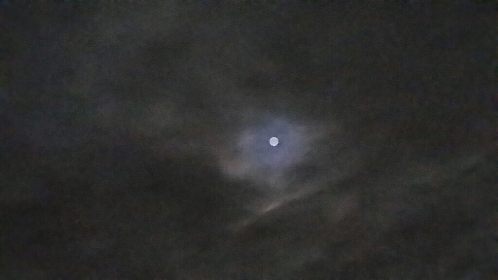 d0261061_14372507.jpg