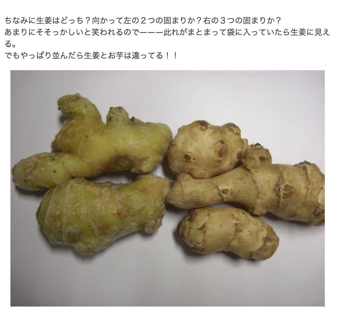 a0053063_15235756.png