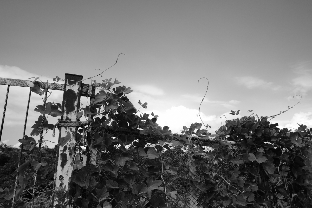 c0084666_18274415.jpg