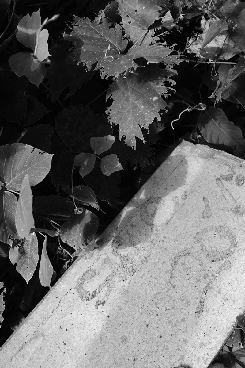 c0084666_18274694.jpg