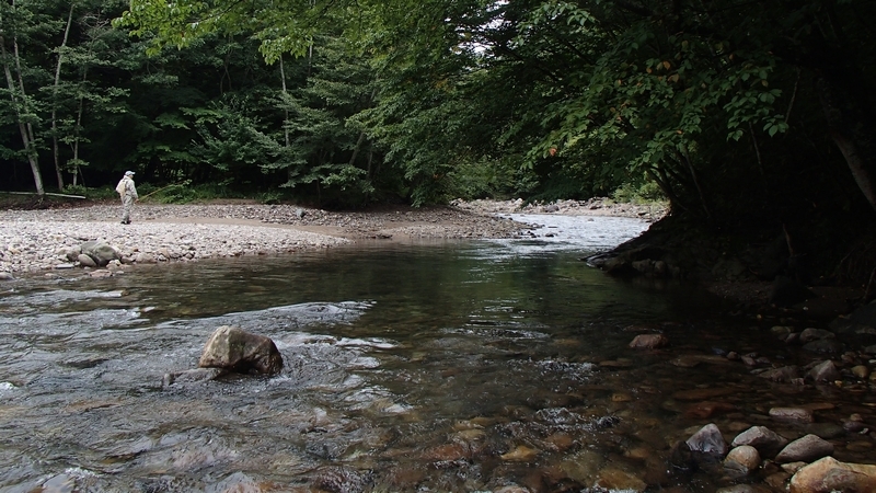 d0132880_23533036.jpg