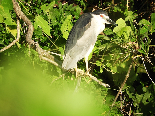 f0357487_2105010.jpg