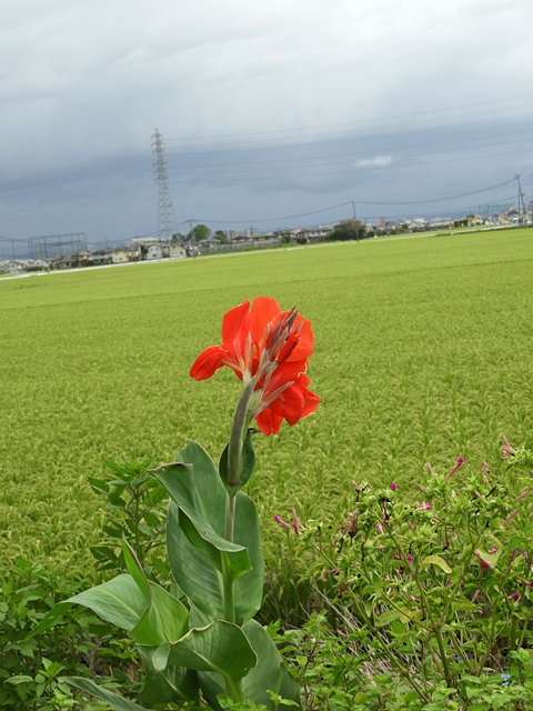 f0357487_22275655.jpg