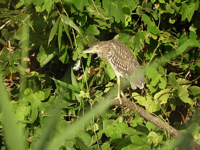 f0357487_2294741.jpg