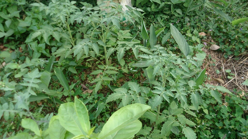 f0225800_06102241.jpg