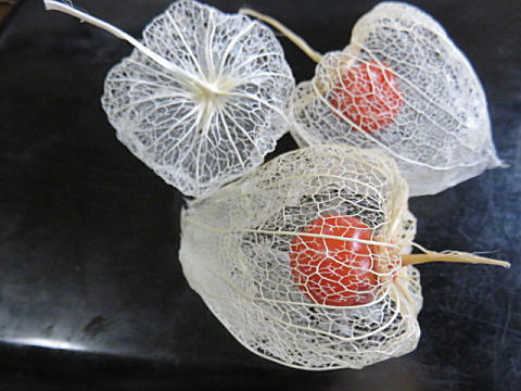 d0046702_17315680.jpg