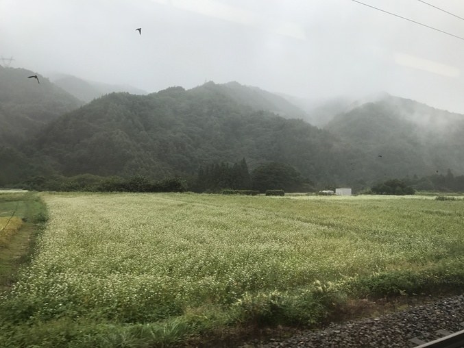 c0212604_8332616.jpg