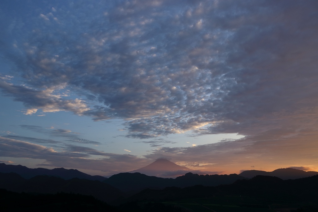 a0188405_14513338.jpg