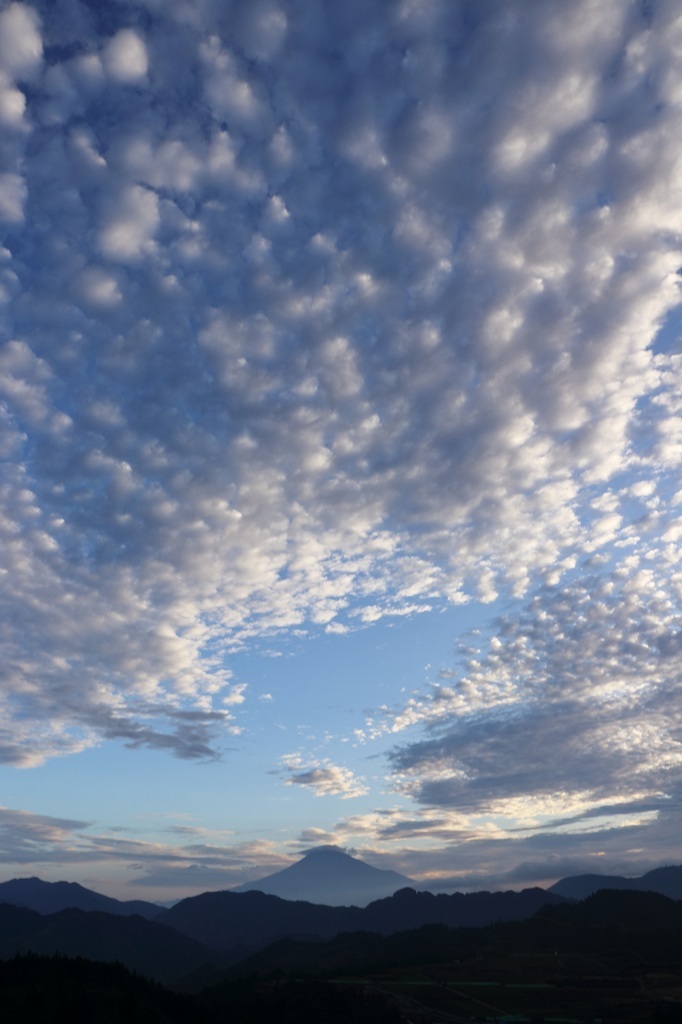 a0188405_14520812.jpg