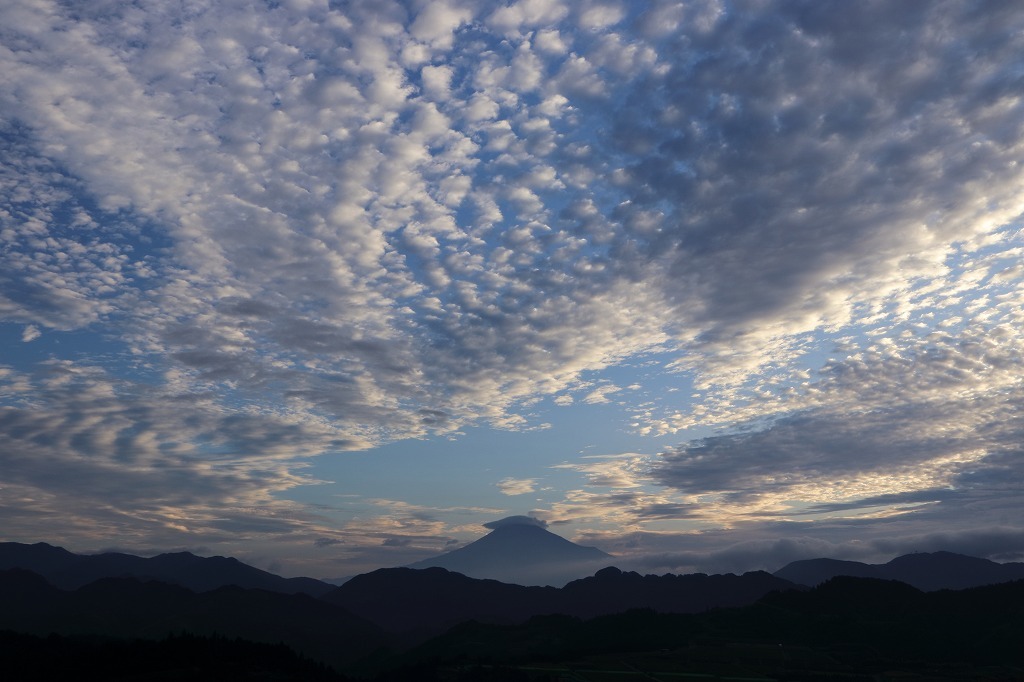 a0188405_14523514.jpg