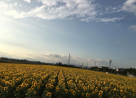 a0337807_11051526.jpg