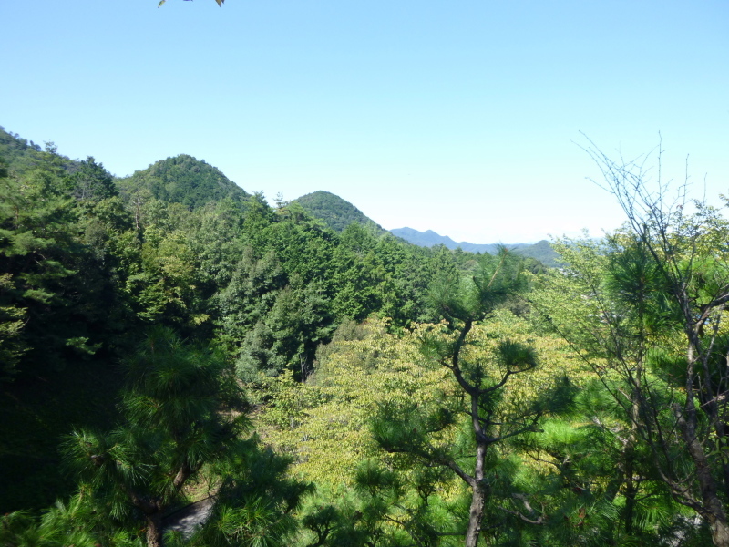d0170615_19131889.jpg
