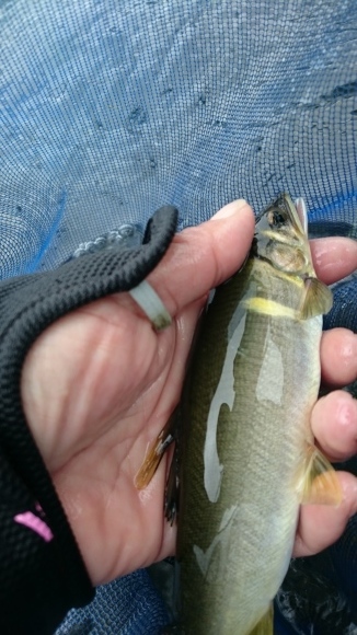 c0221718_17161050.jpg