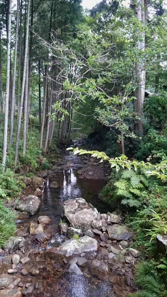 c0221718_19145553.jpg