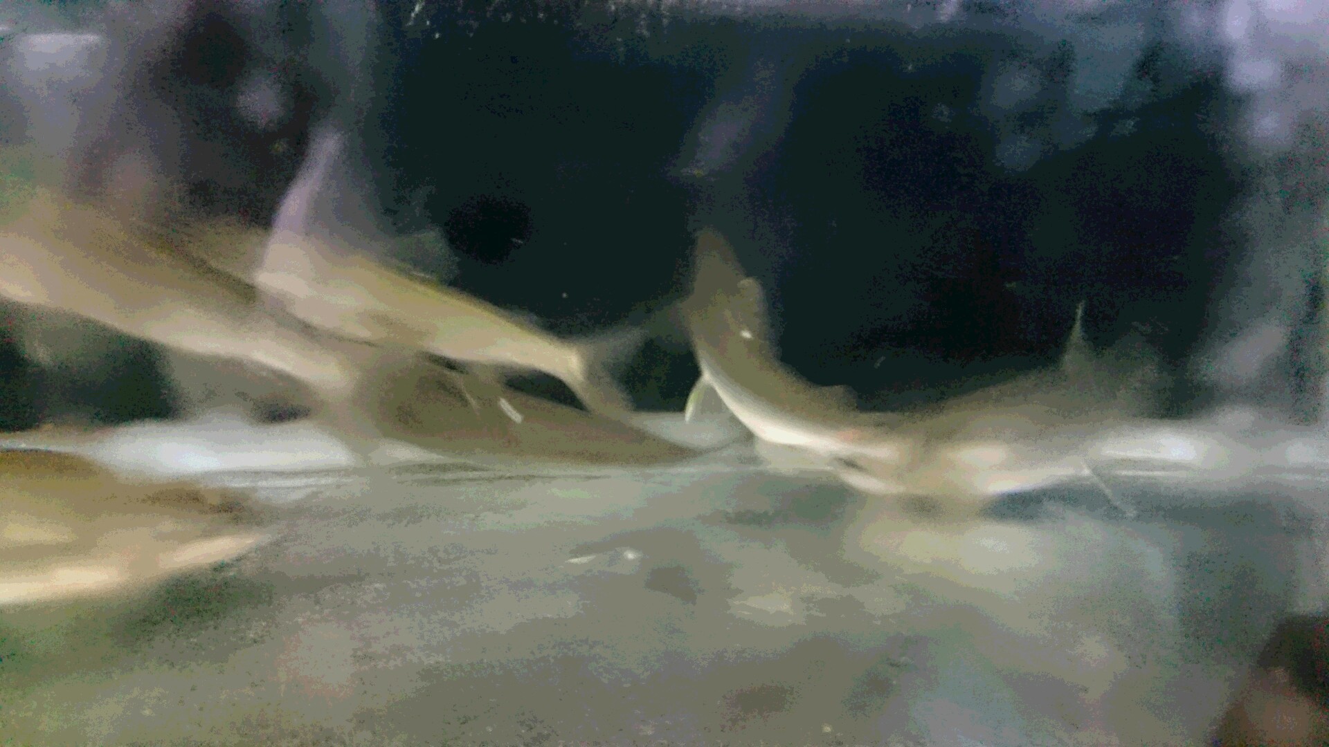 c0221718_19285080.jpg