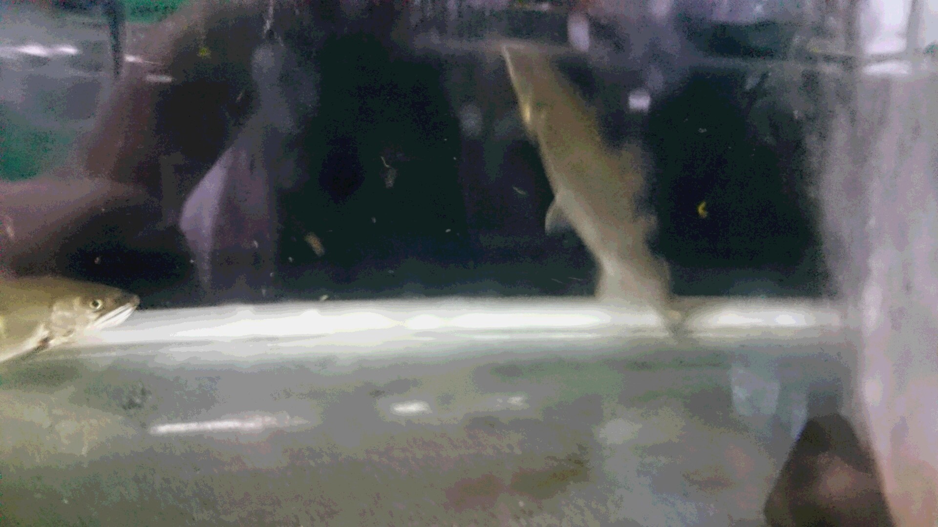 c0221718_19290053.jpg