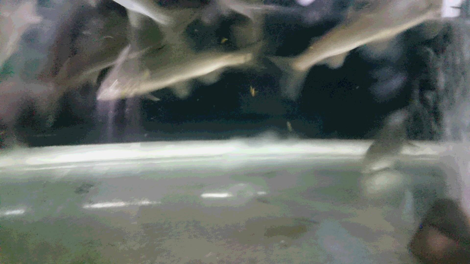 c0221718_19291476.jpg